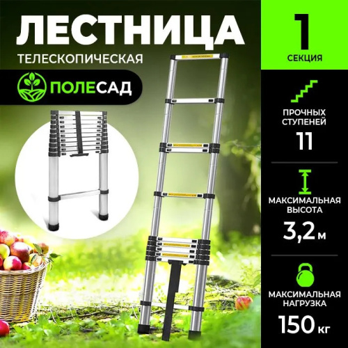 Телескопическая лестница ПОЛЕСАД 3,2 м, масса 10 кг, нагрузка до 150 кг (1/1) Уценка 20